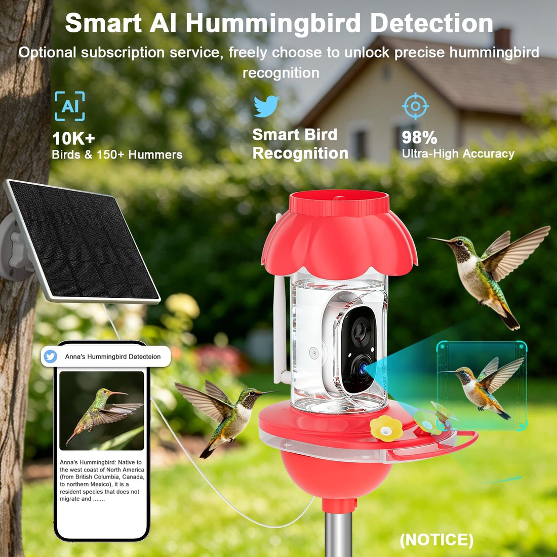 Hummingbird Feeder with Camera,2K FHD Live View & Auto Capture Bird