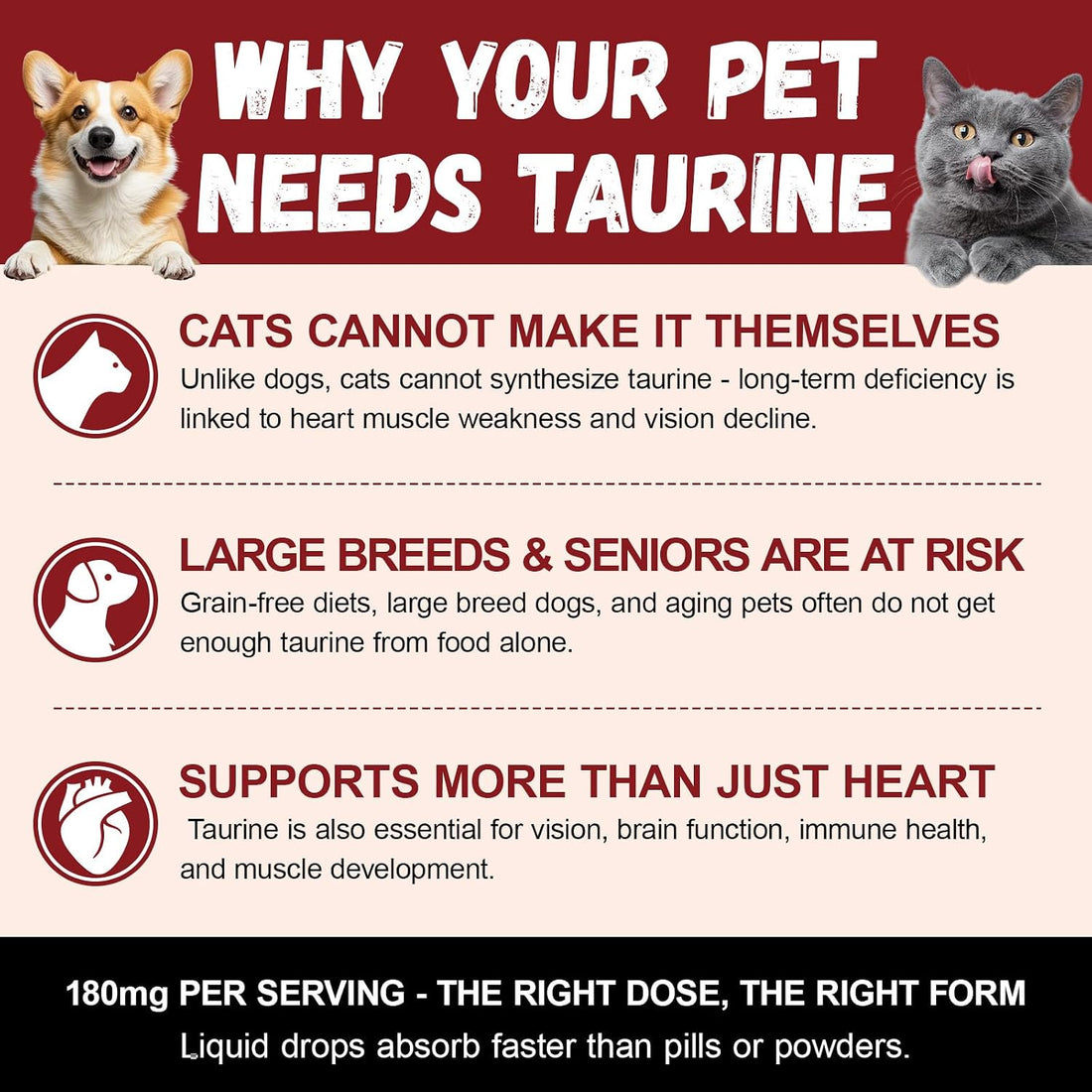 Taurine for Dogs & Cats Supports Healthy Vision, Heart, Immune System