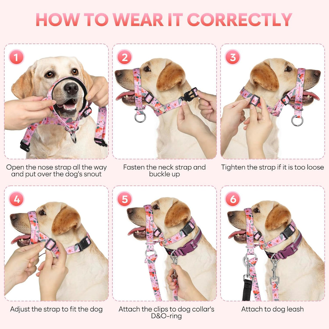 Dog Head Collar, Printed No-Pull Headcollar