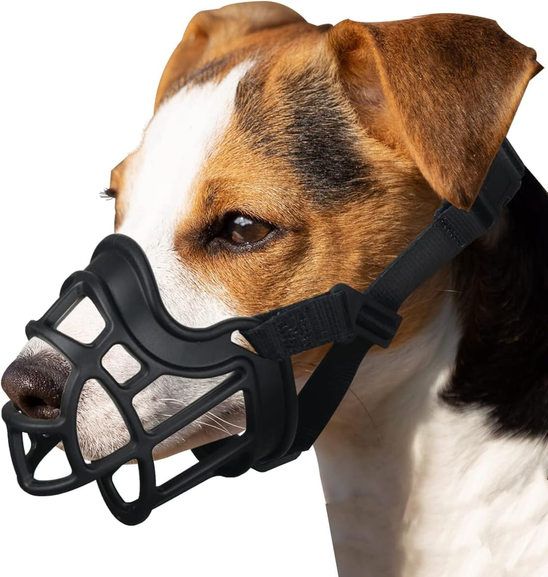 BARKLESS Dog Muzzle, Basket Muzzle Anti Biting Chewing for Medium
