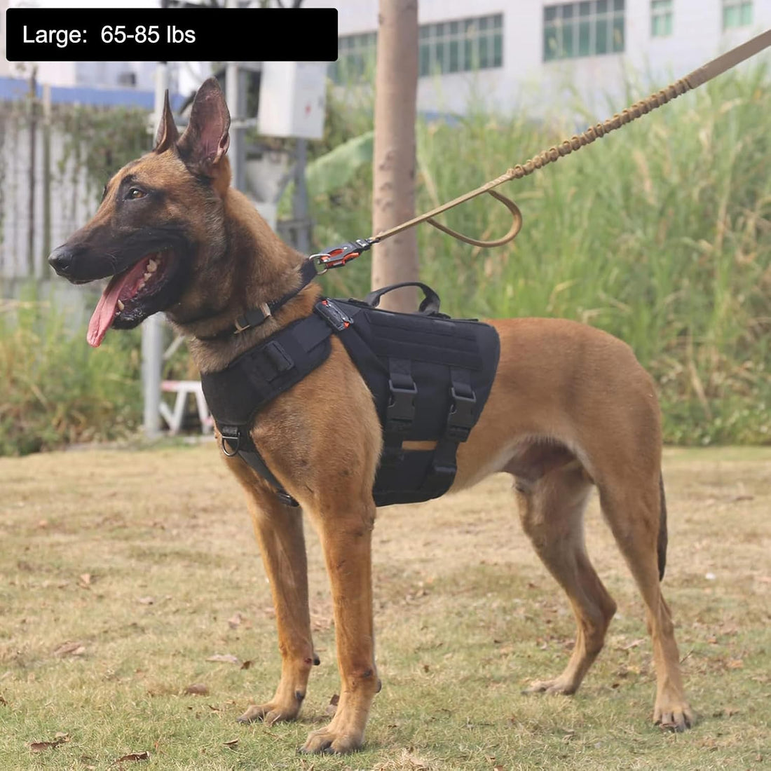 ICEFANG GN3 Tactical Dog Harness with 6X Buckle,Dog Molle Vest