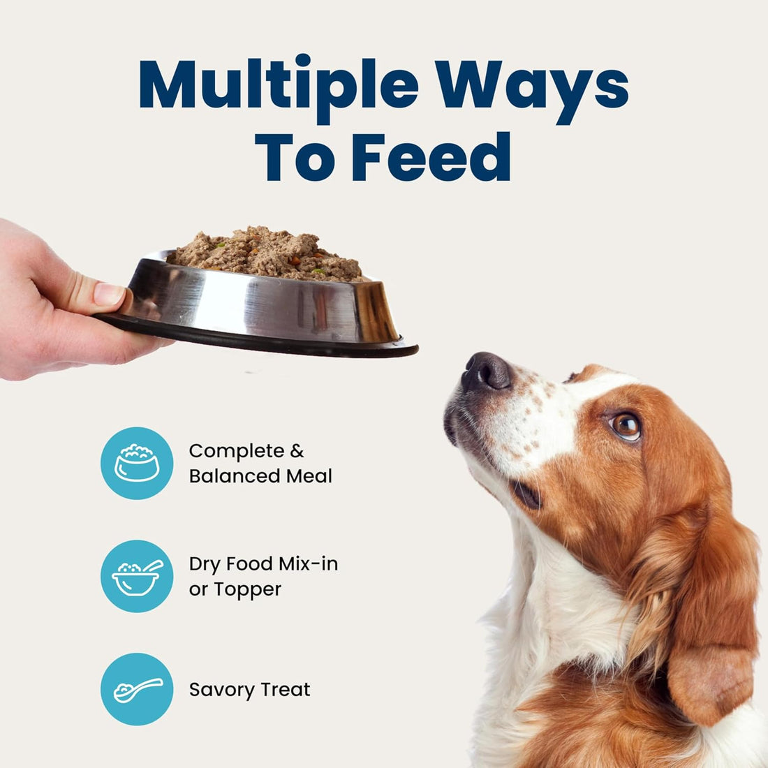 Blue Buffalo Homestyle Recipe Wet Dog Food Paté Variety Pack