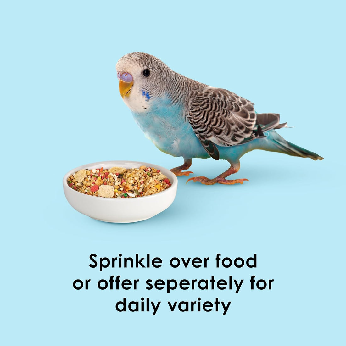 Kaytee Oat Groats Treat Jar- All Pet Birds 11 oz