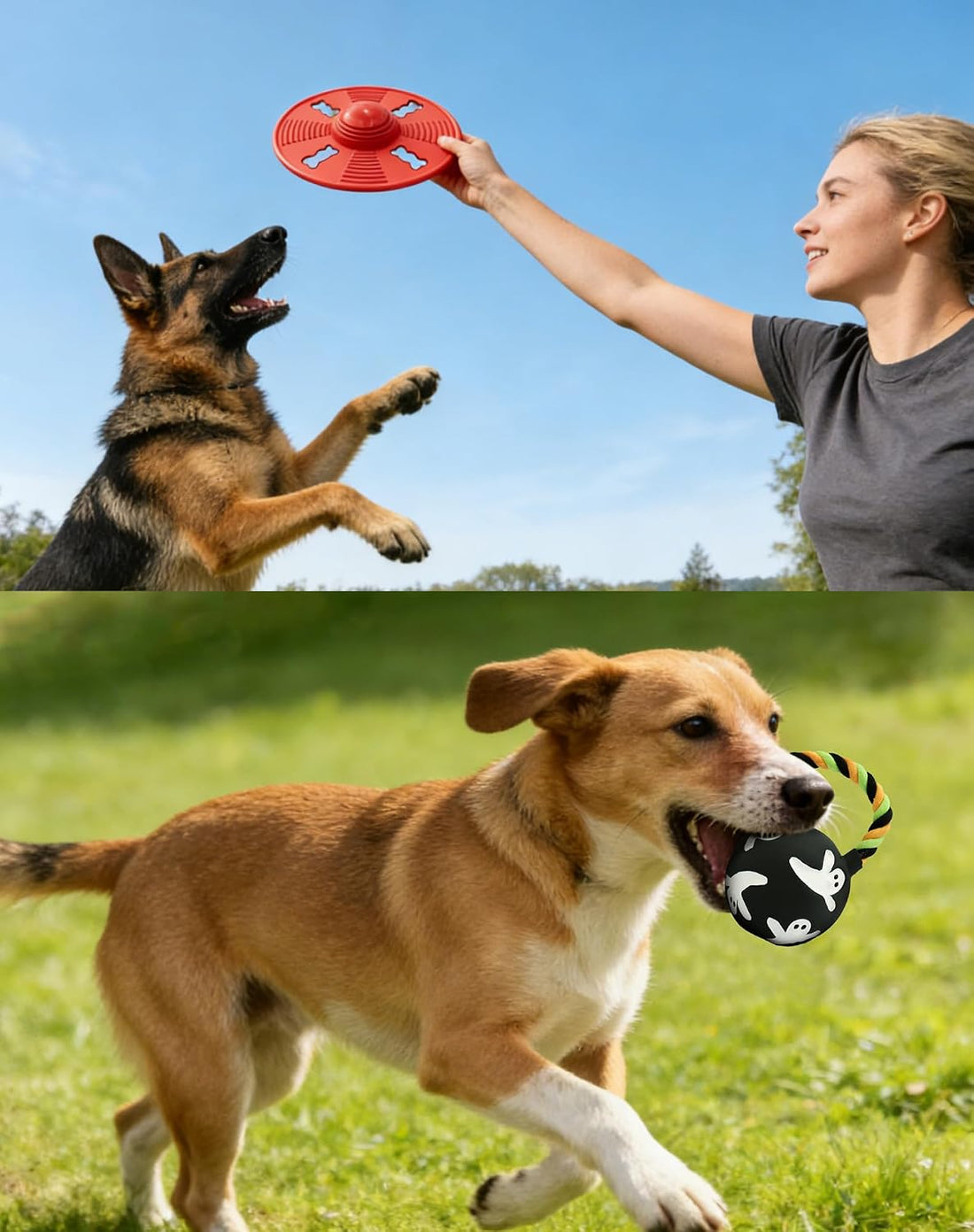 Squeaky Natural Rubber Dog Flying Disc/Frisbee/Flyer with Black Ball
