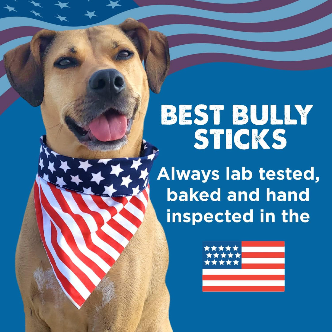 Best Bully Sticks Braided Bully Sticks Dog Chews, 12", 3 Count