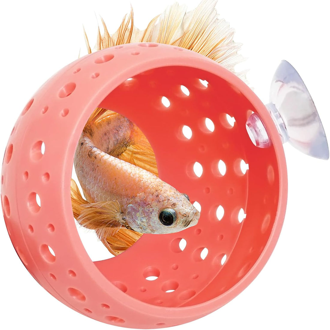 Fhiny Betta Tunnel, Aquarium Betta Fish Hideout with Suction Cup Fish