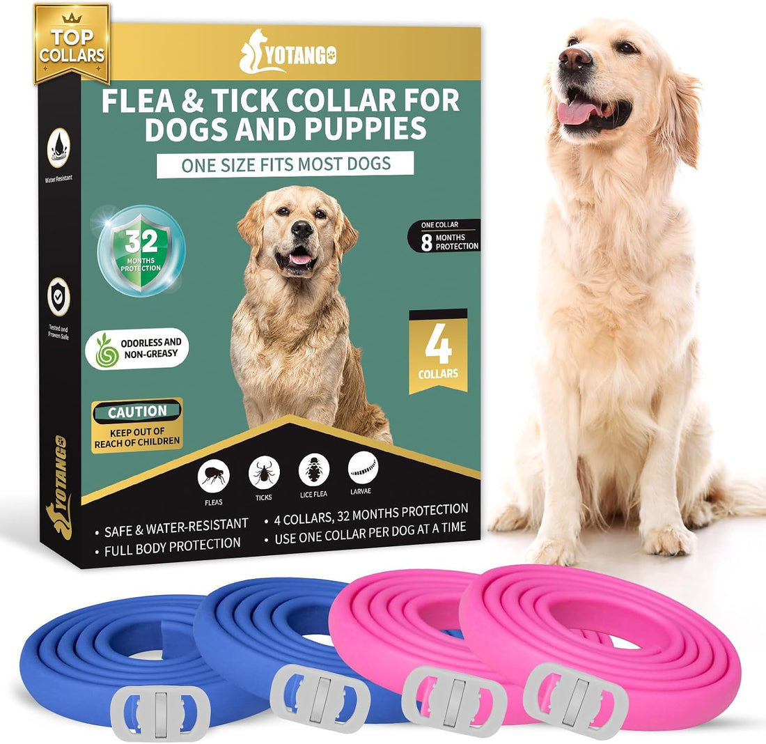 YOTANGO Flea Collar for Dogs, Dog Flea and Tick Collar, 4 Pack