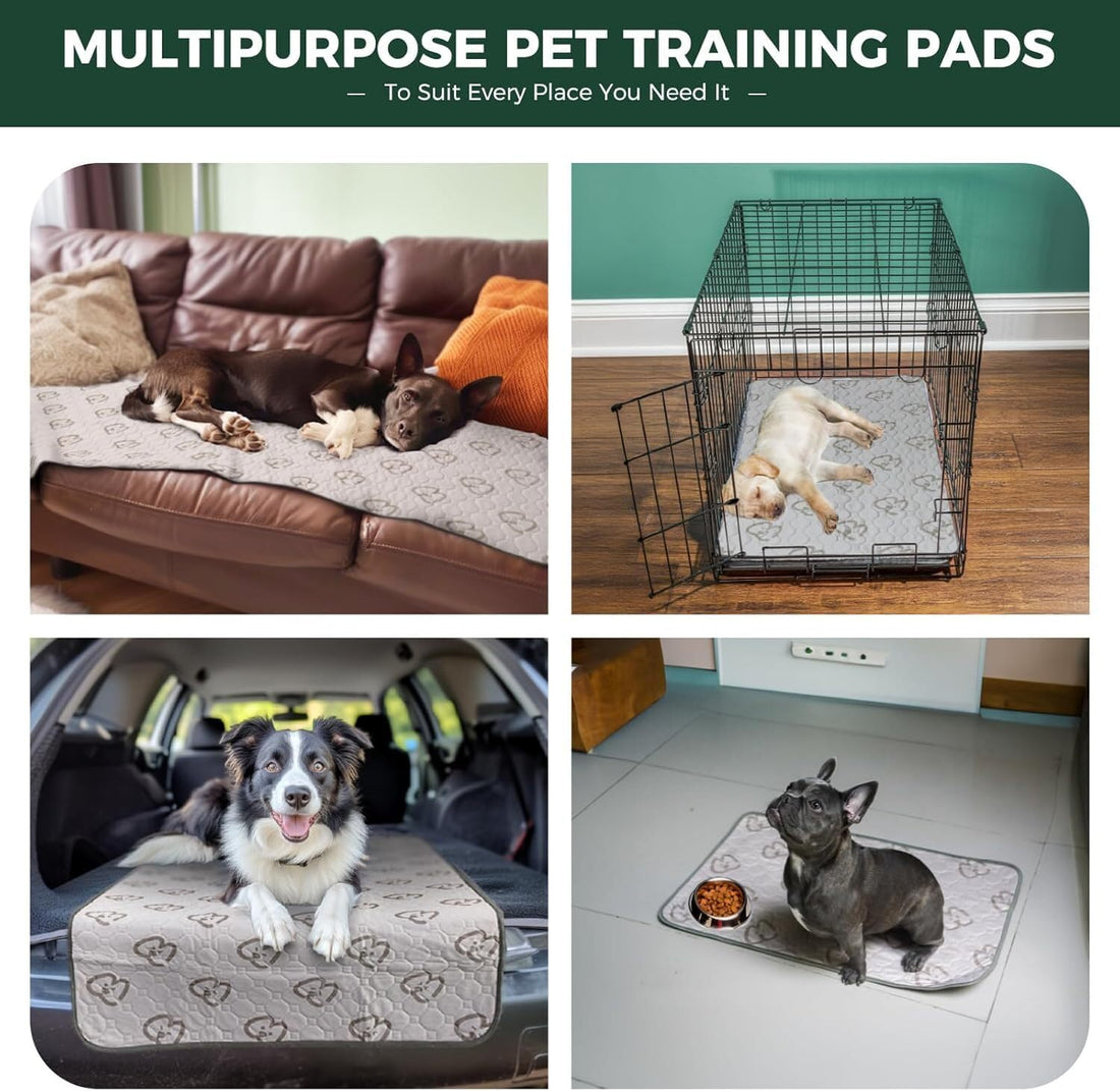 FXW Washable Pee Pads for Dogs, Super Absorbent