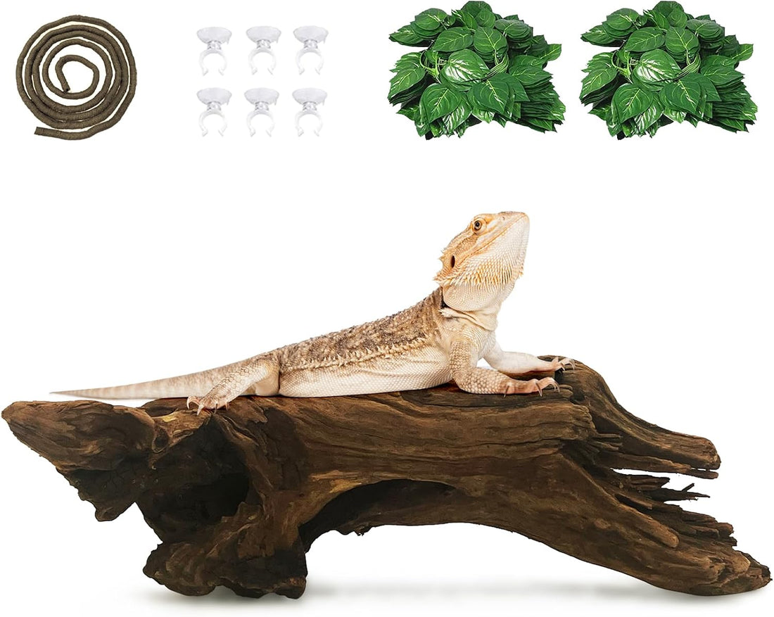 Hamiledyi Bearded Dragon Driftwood for Reptile