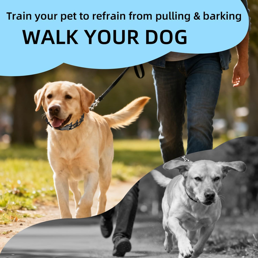 Prong Collar for Dogs, No Pull Dog Pinch Collar for Small Medium