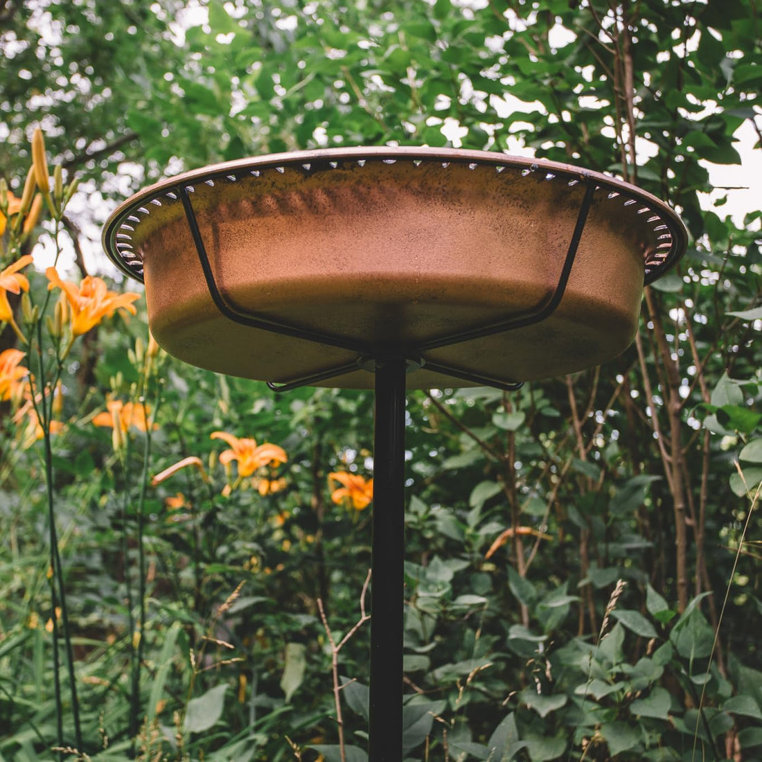 Backyard Expressions Bird Baths for Outdoors