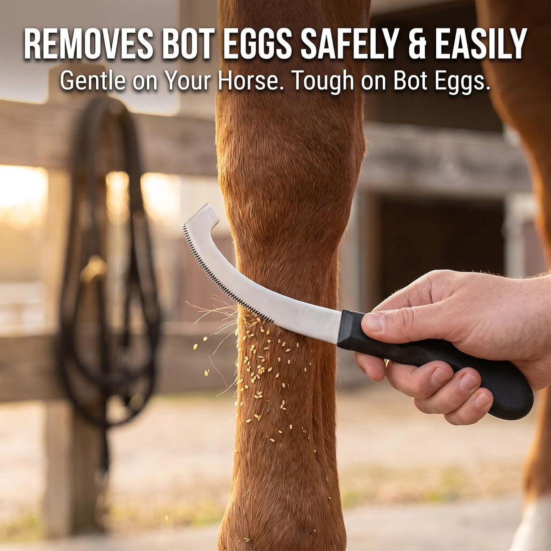 Pro Farrier Grooming Bugs Bot Knife– Stainless Steel Blade