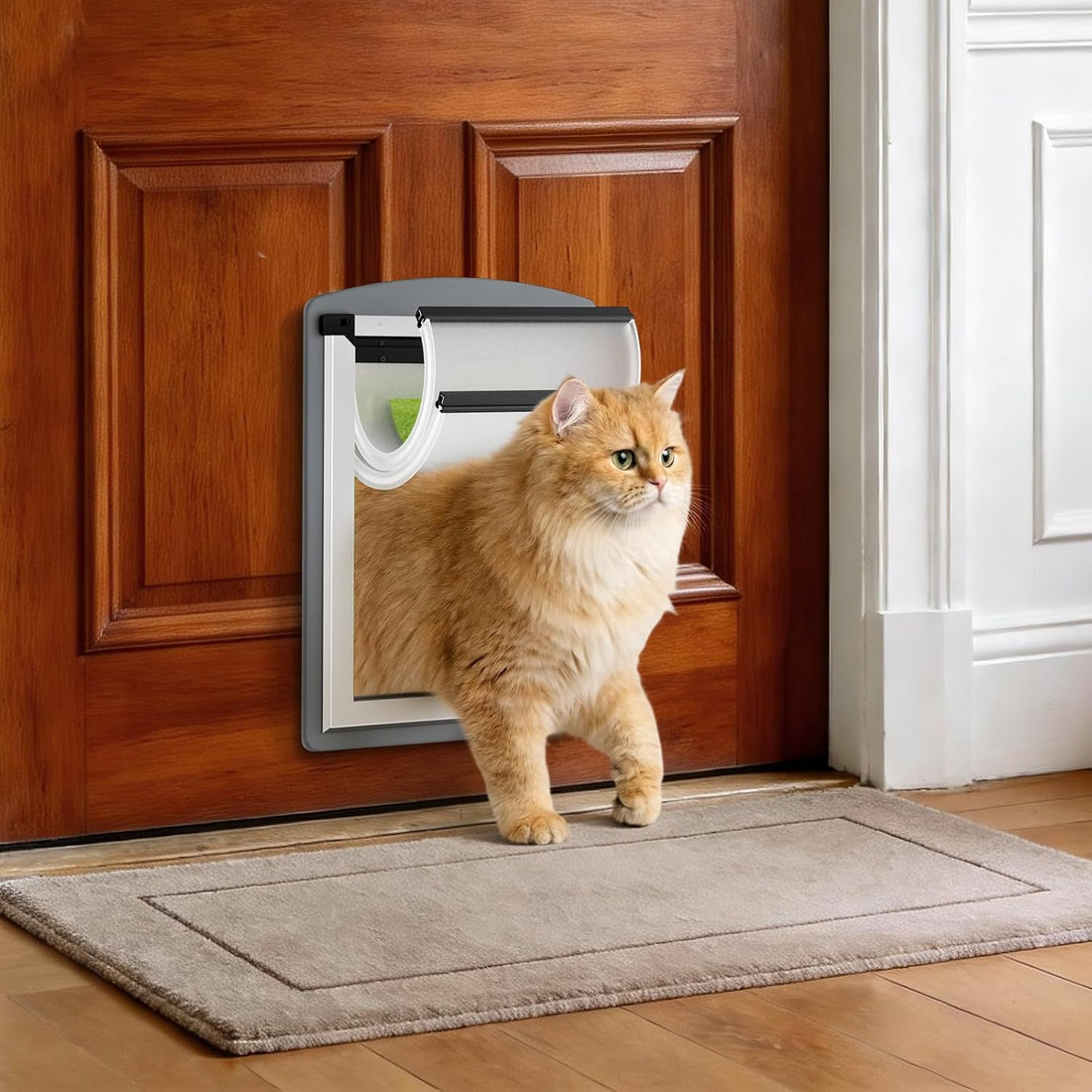 MAVRICFLEX All-Stainless Steel Frame Cat Door for Exterior Door