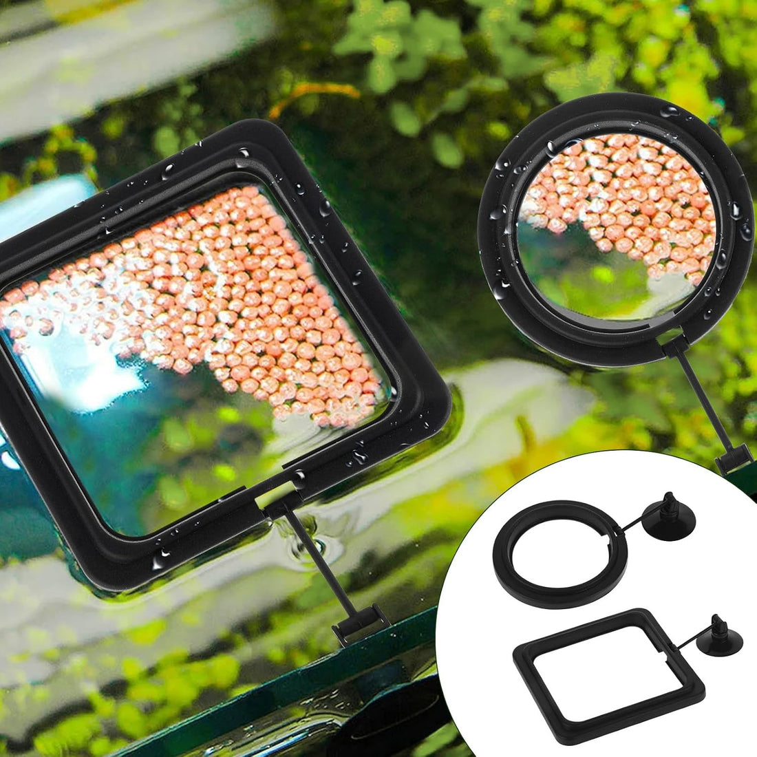 2 PCS Fish Feeding Ring, Aquarium Feeding Ring Automatic Goldfish