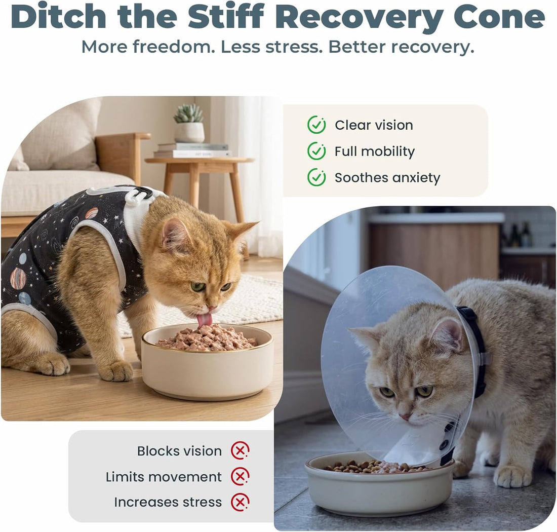 Avont 2-Pack Cat Recovery Suit for Spay Healing -Space M 2026 New