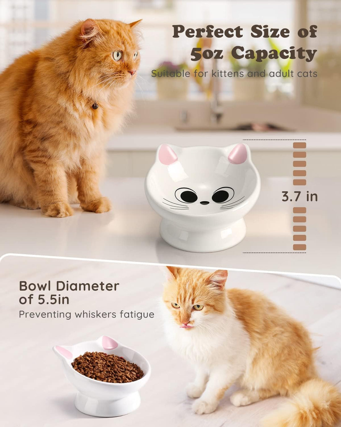 Raised Ceramic Cat Food Bowl, Tilted for Neck Comfort