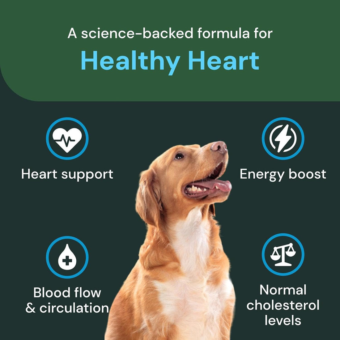 VetriScience Veterinary Strength Healthy Heart Chews, Chicken