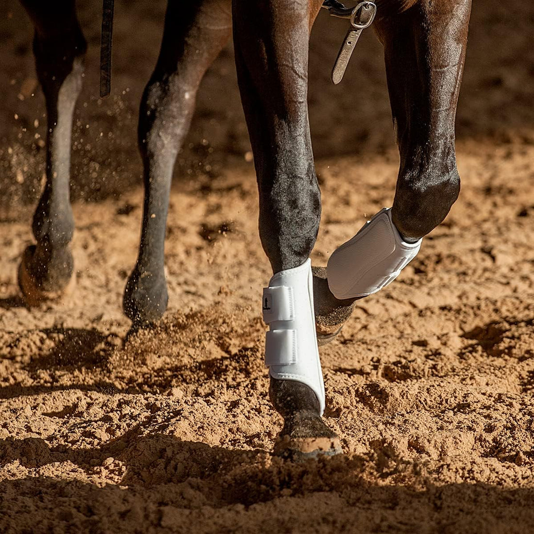 Classic Equine AirWave Classic Splint Boots, Front