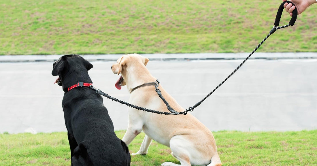iYoShop Dual Dog Leash - 360° Swivel