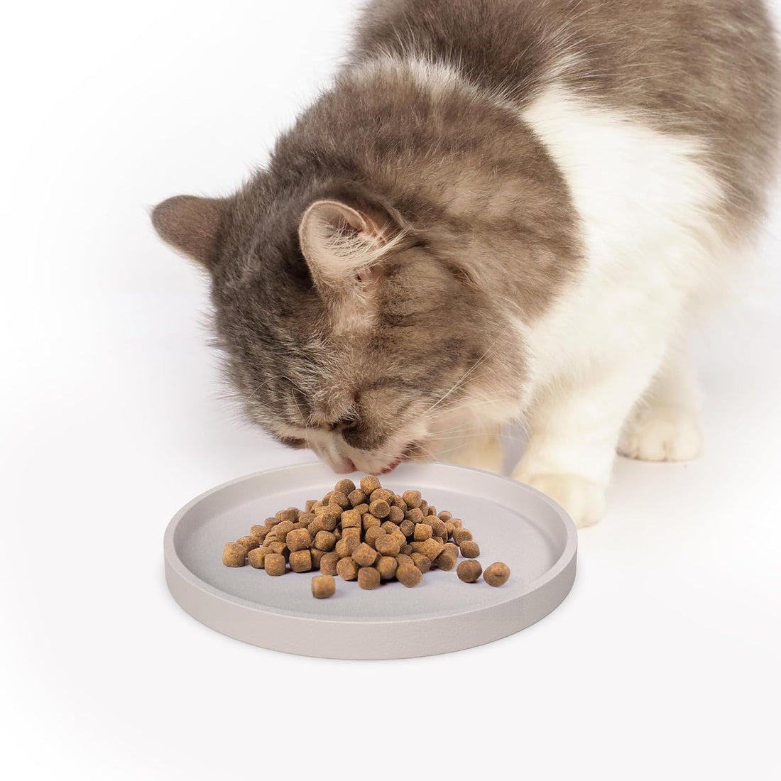 Arespark Pet Silicone Food Mat