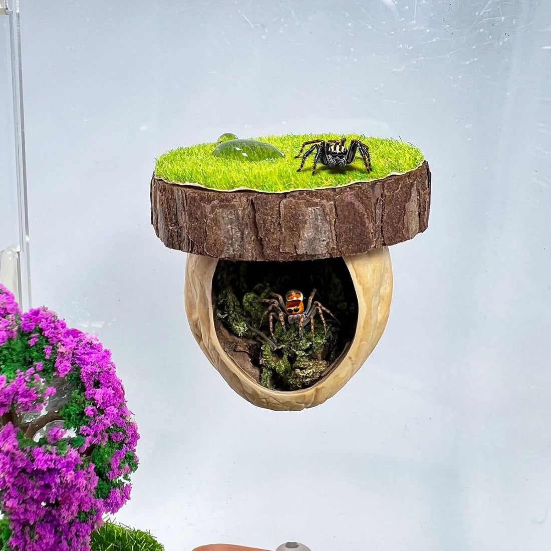 Jumping Spider Hideout - Magnetic Hiding Habitat, Climbing Platform