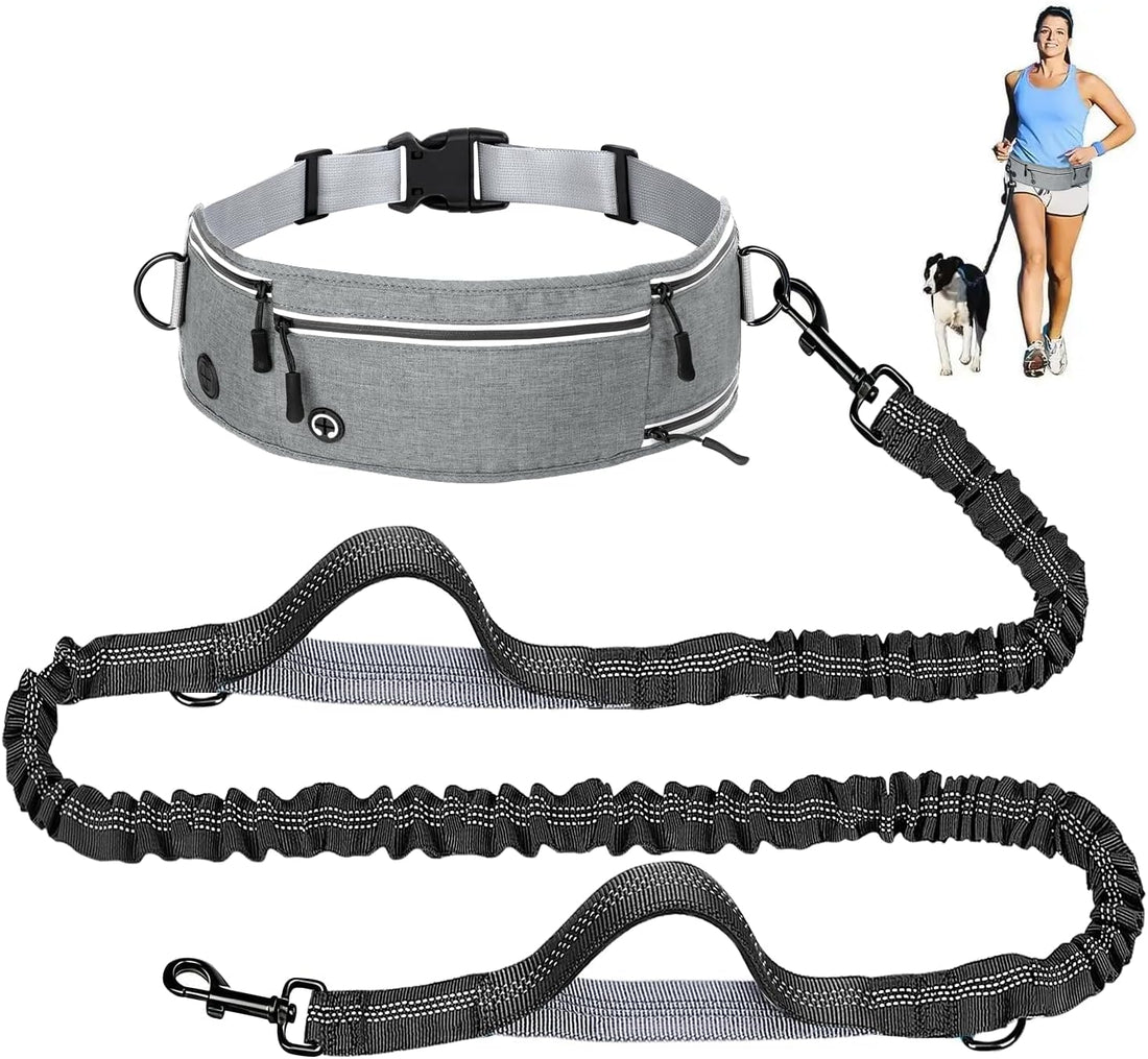 Hands Free Dog Leash with Partitioned Pouch Adjustable Waist Belt