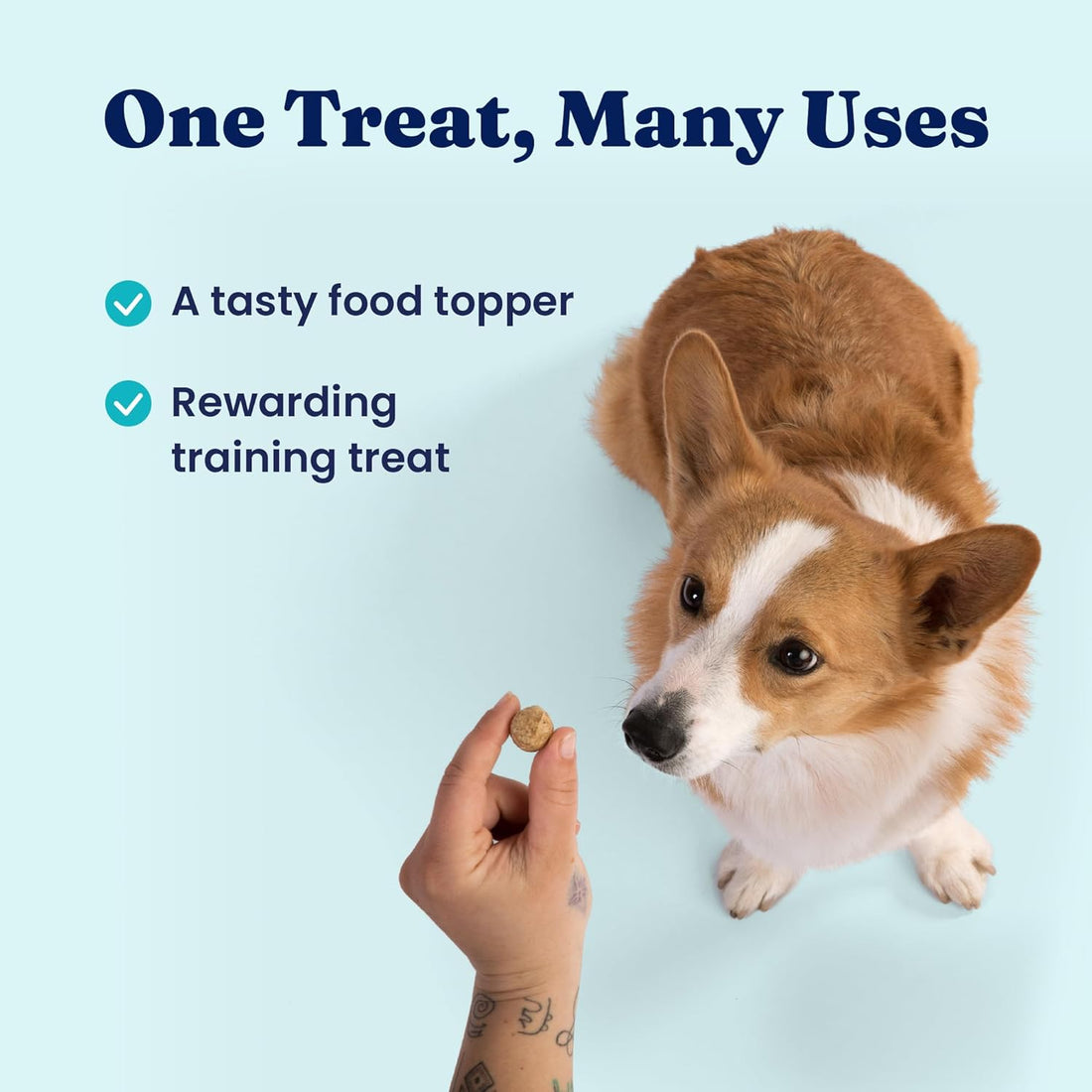 Solid Gold Freeze Dried Dog Food - W/Real Beef, Pumpkin & Superfoods