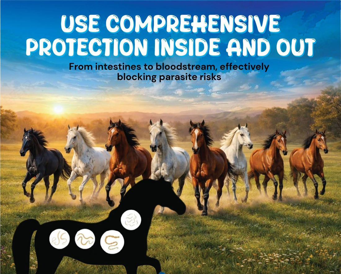 VITALVINE Ivermectin 1.87% Paste for Horses