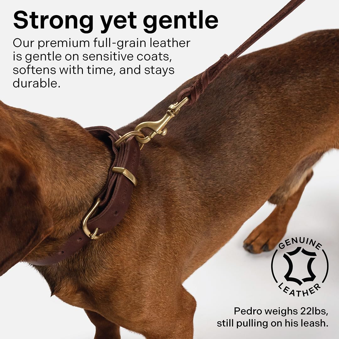 Scout Supply Classic Leather Dog Leash