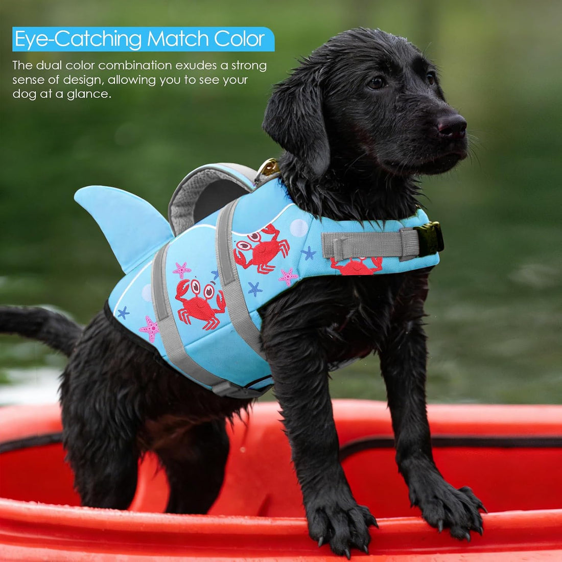 AOFITEE Dog Life Jacket High Buoyancy Shark Dog Life Vest for Swimming