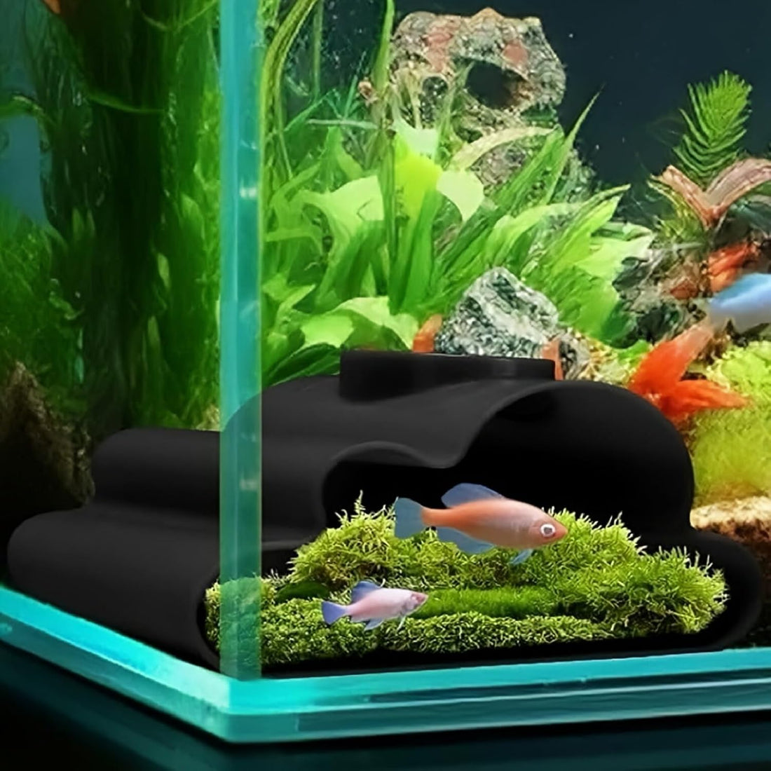 Aquarium Underground Tunnel 5"