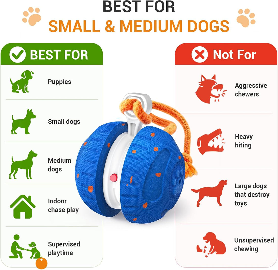 Pamlulu Interactive Dog Toy for Small & Medium Dogs
