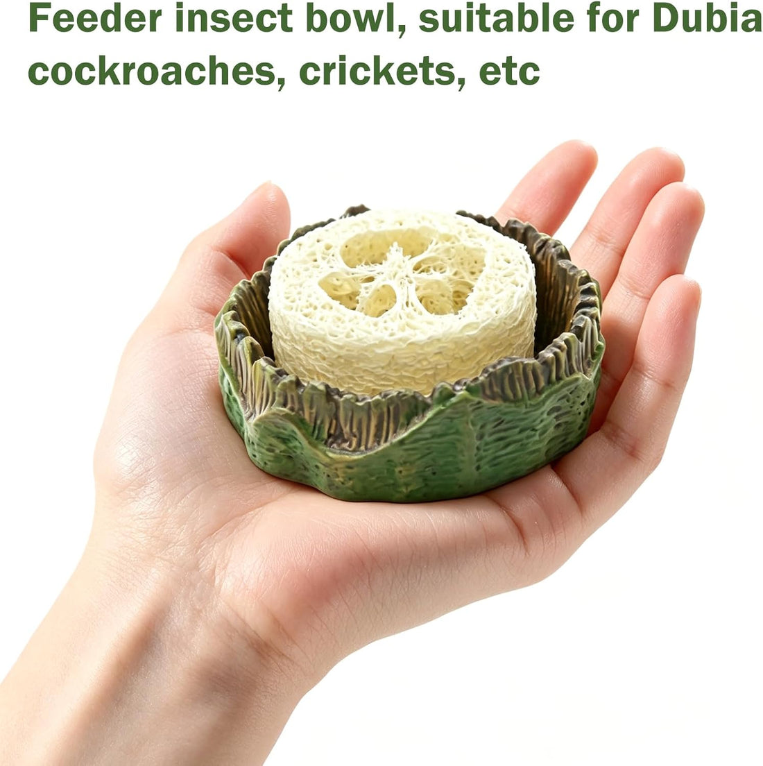 Cockroach Water Basin & 3 Loofah Set