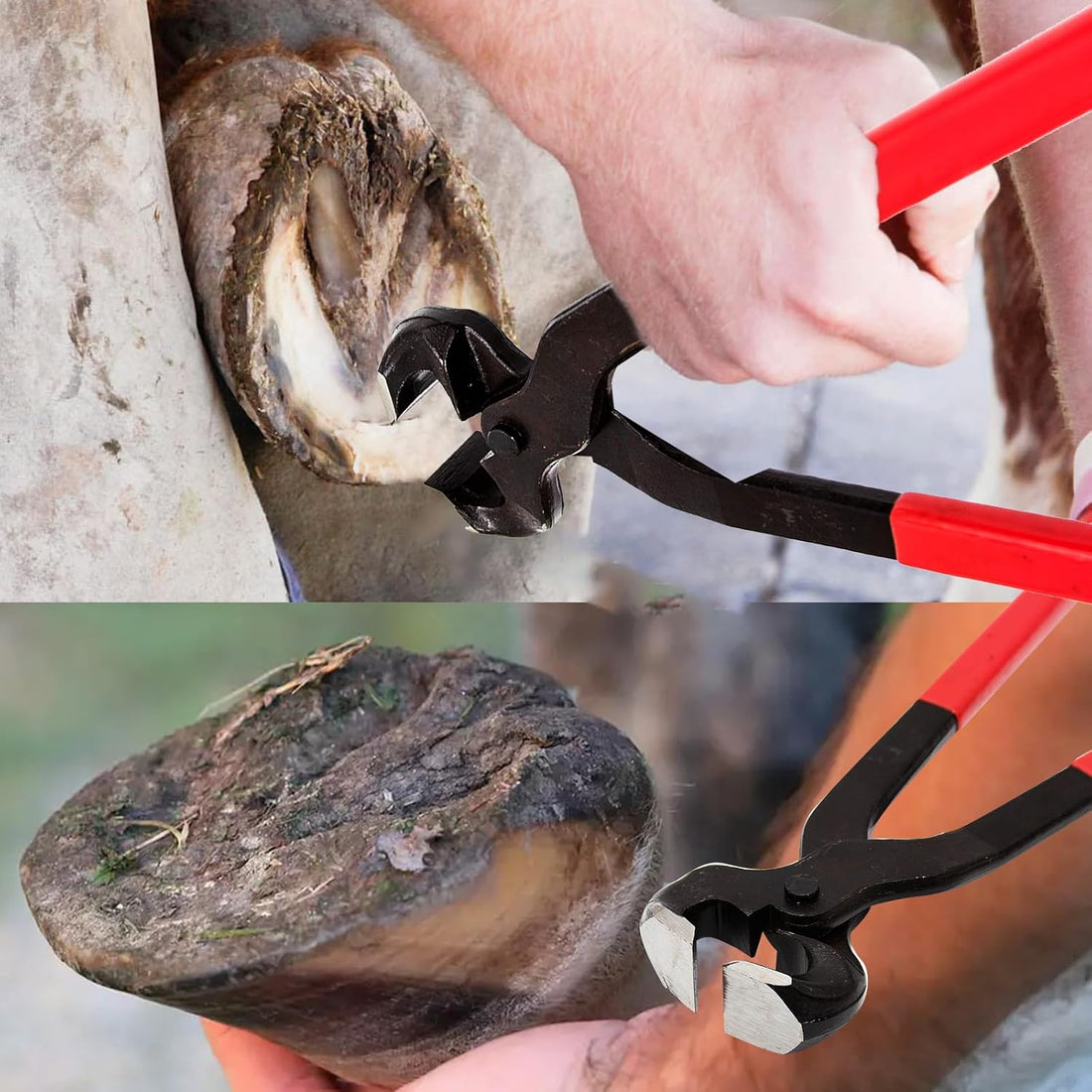 Hoypeyfiy Horse Hoof Nipper, 16 Inches Hoof Trimming Nipper,Horse