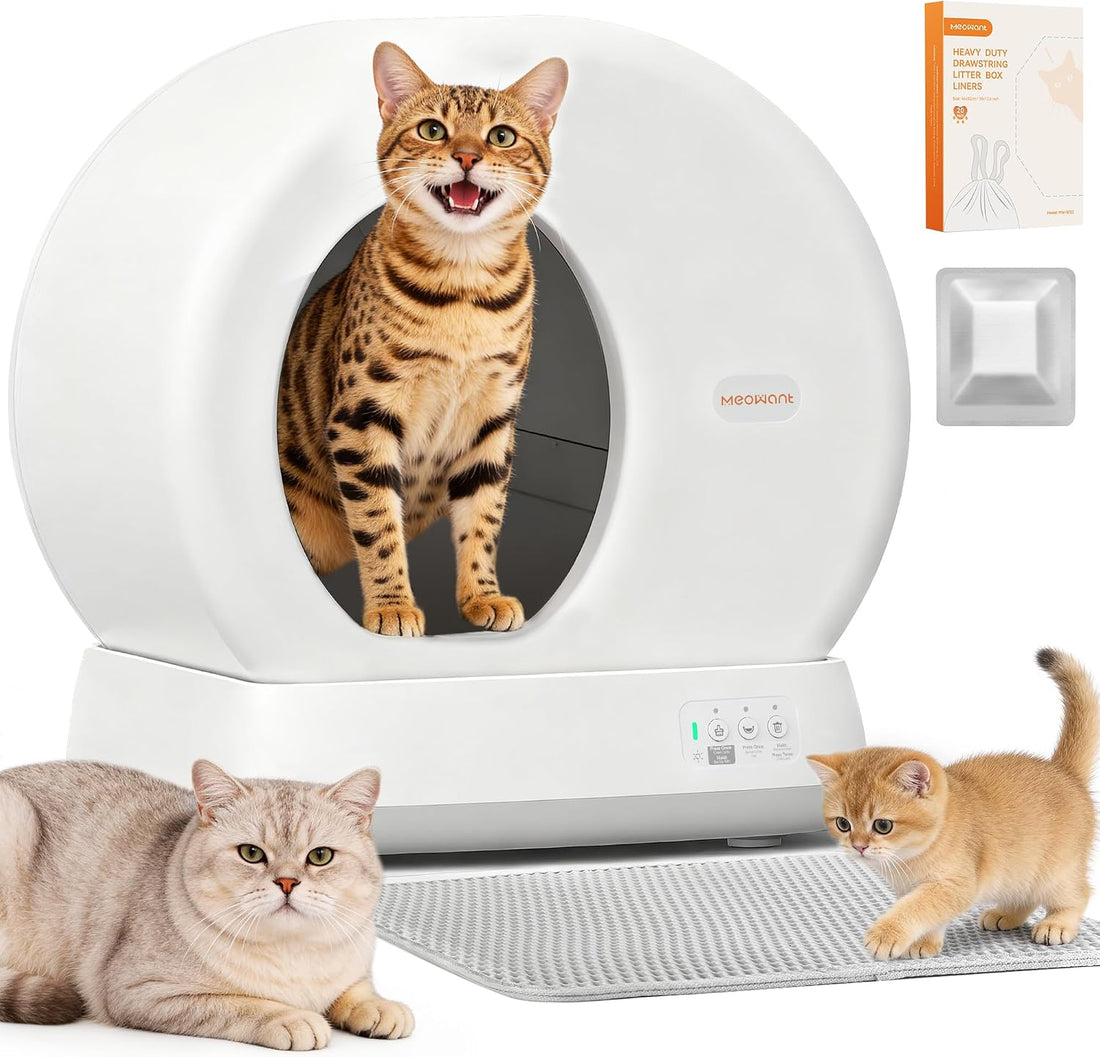 Meowant Self Cleaning Cat Litter Box Safety Sensors,APP Control,Large
