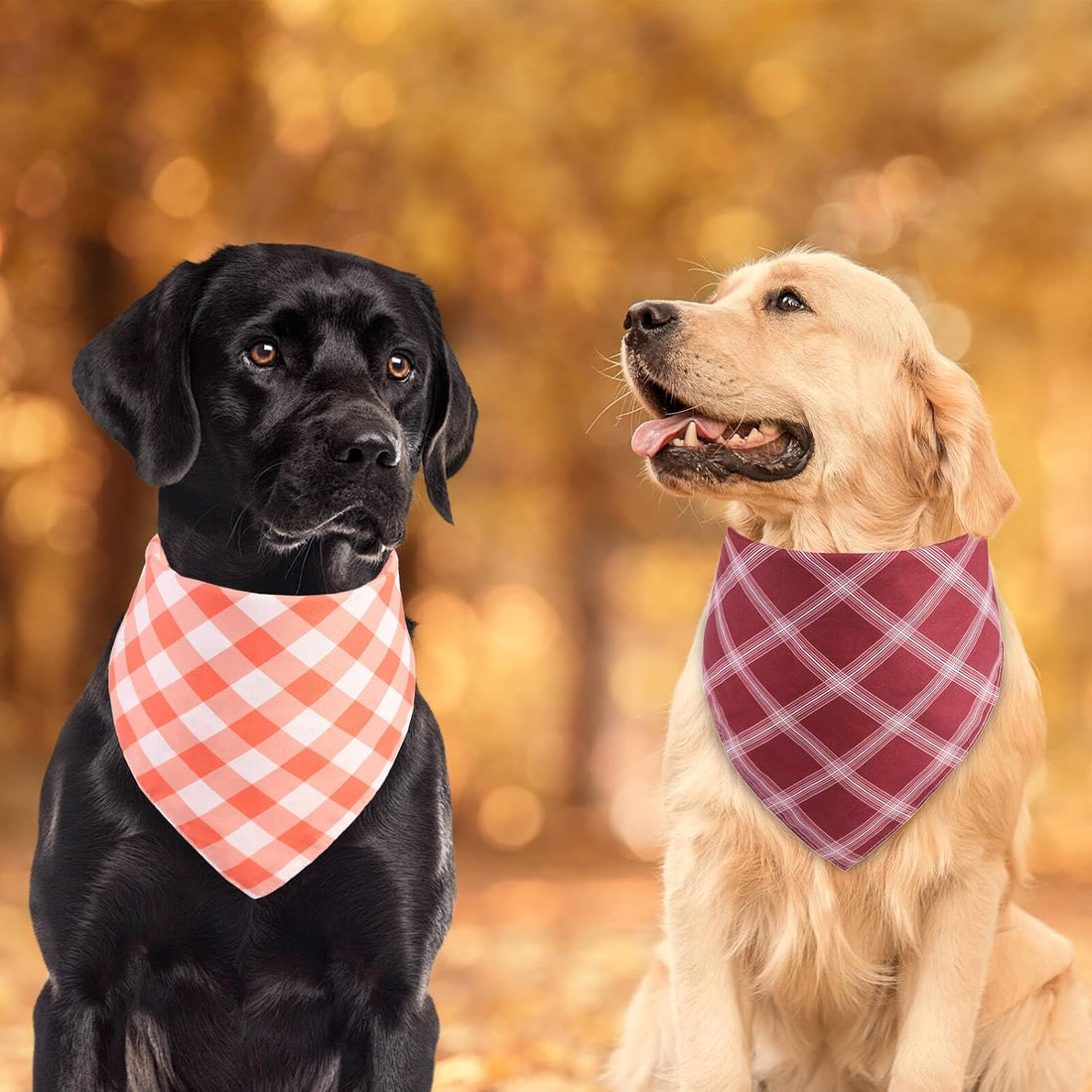Fall Dog Bandanas 2PCS Large, Thanksgiving Pumpkin Leaf Scarf