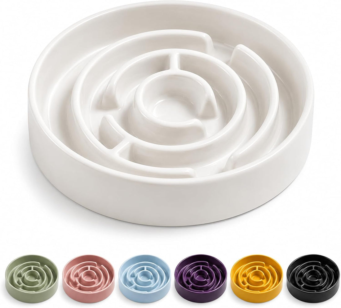 Ceramic Slow Feeder Dog Bowl