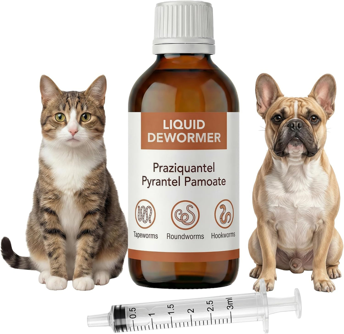 Praziquantel & Pyrantel Liquid Dewormer for Dog and Cat 6-25 lbs