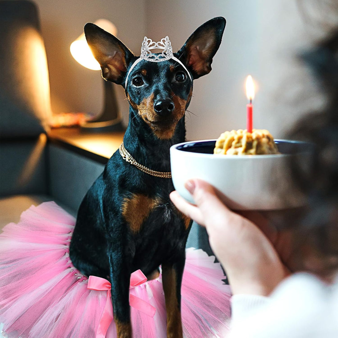 2 Pcs Dog Crown Headband Dog Tutu Dress Set Crystal Rhinestone Tiara