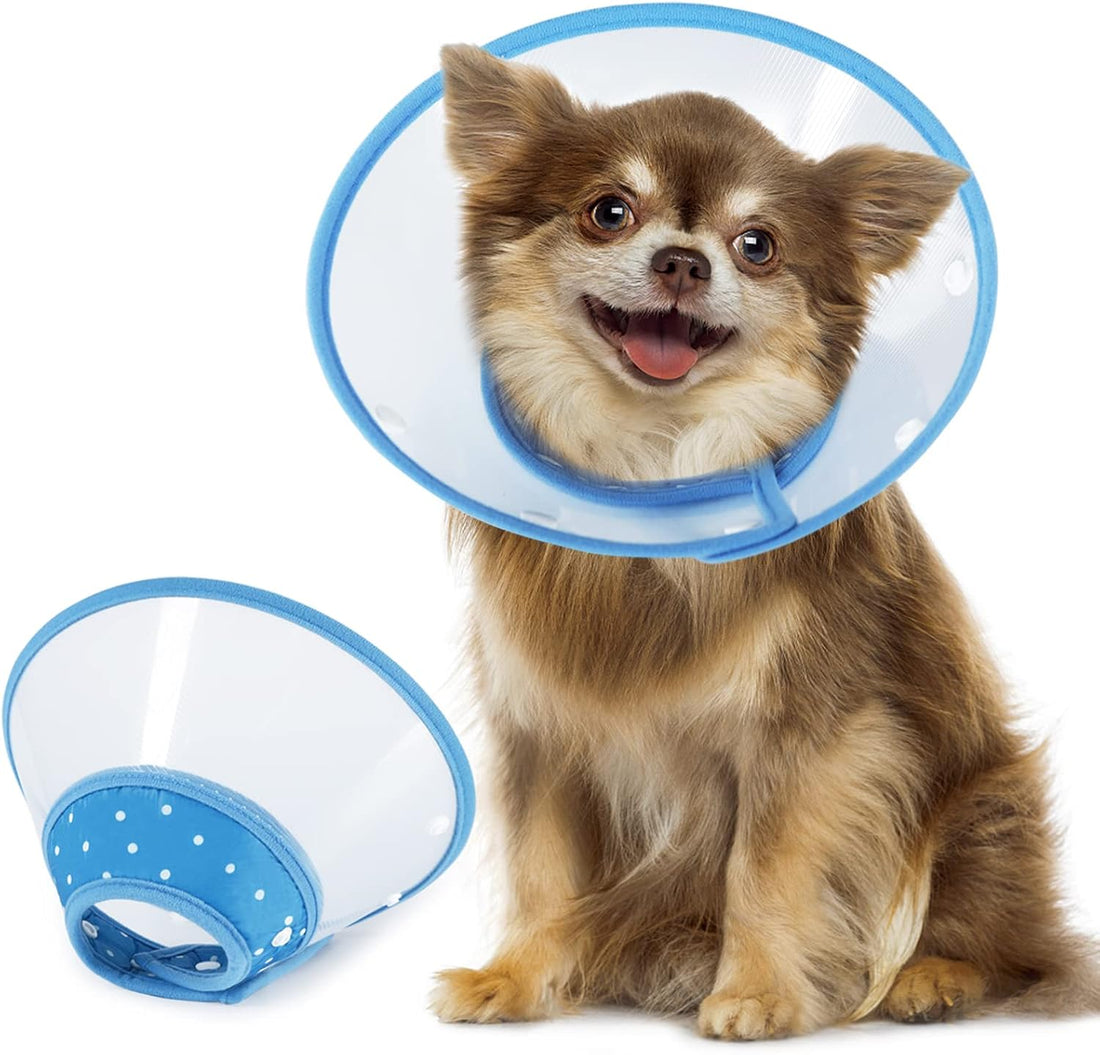 Vivifying Dog Recovery Cone for Small Dogs & Cats, Snap Closure, Blue