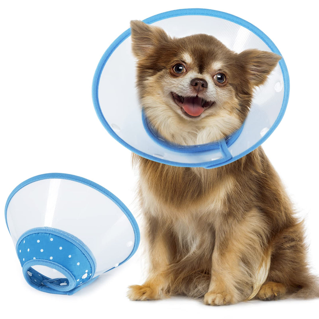 Vivifying Dog Cones for Small Dogs