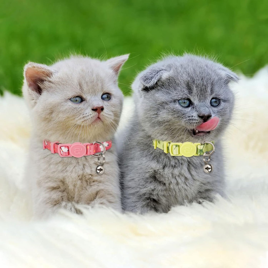 azuza 4 Pack Kitten Collar Breakaway with Bell,Quick Release Safe