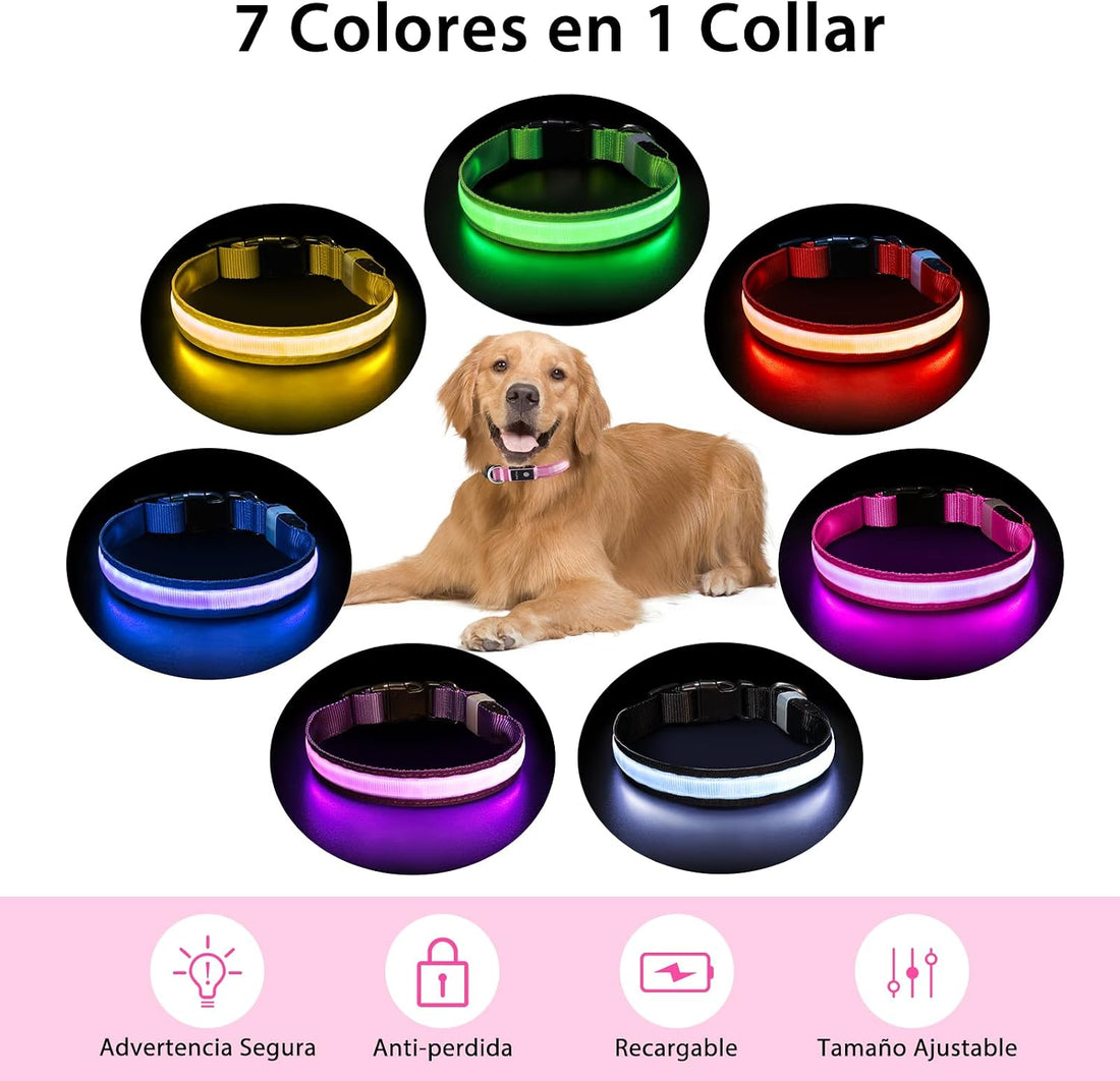 PcEoTllar Light up Dog Collar, Safe for Night Walking, Adjustable