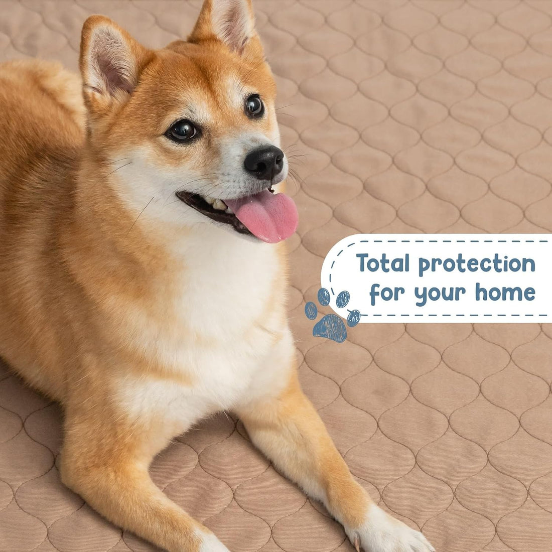 EZwhelp Reusable Dog Pee Pads, Washable Waterproof Mat 60x60 in