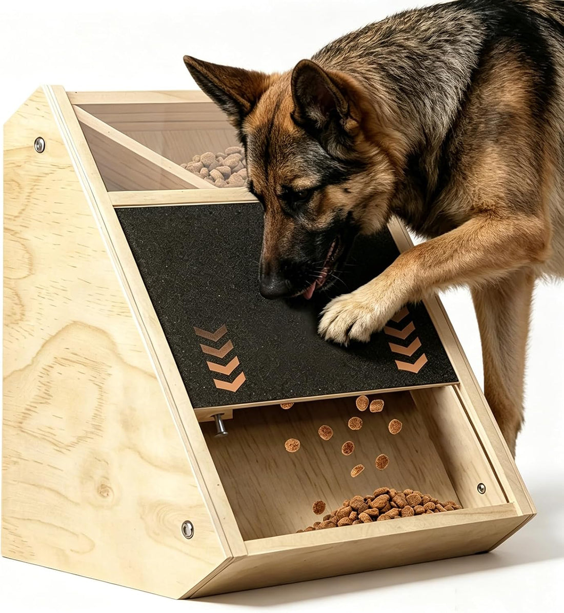 Dog Scratch Board with Treats