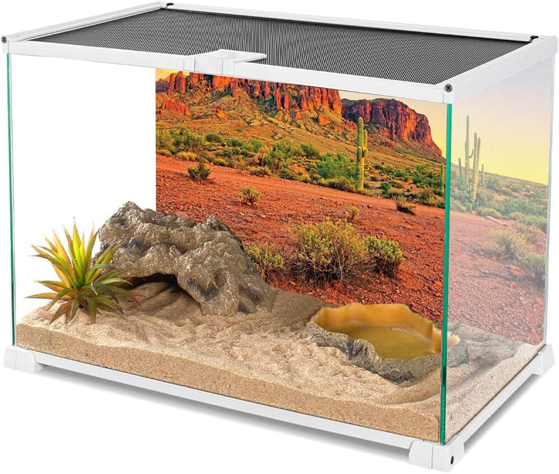 AWERT 36x18 in Terrarium Backdrop Desert Cactus Reptile Habitat