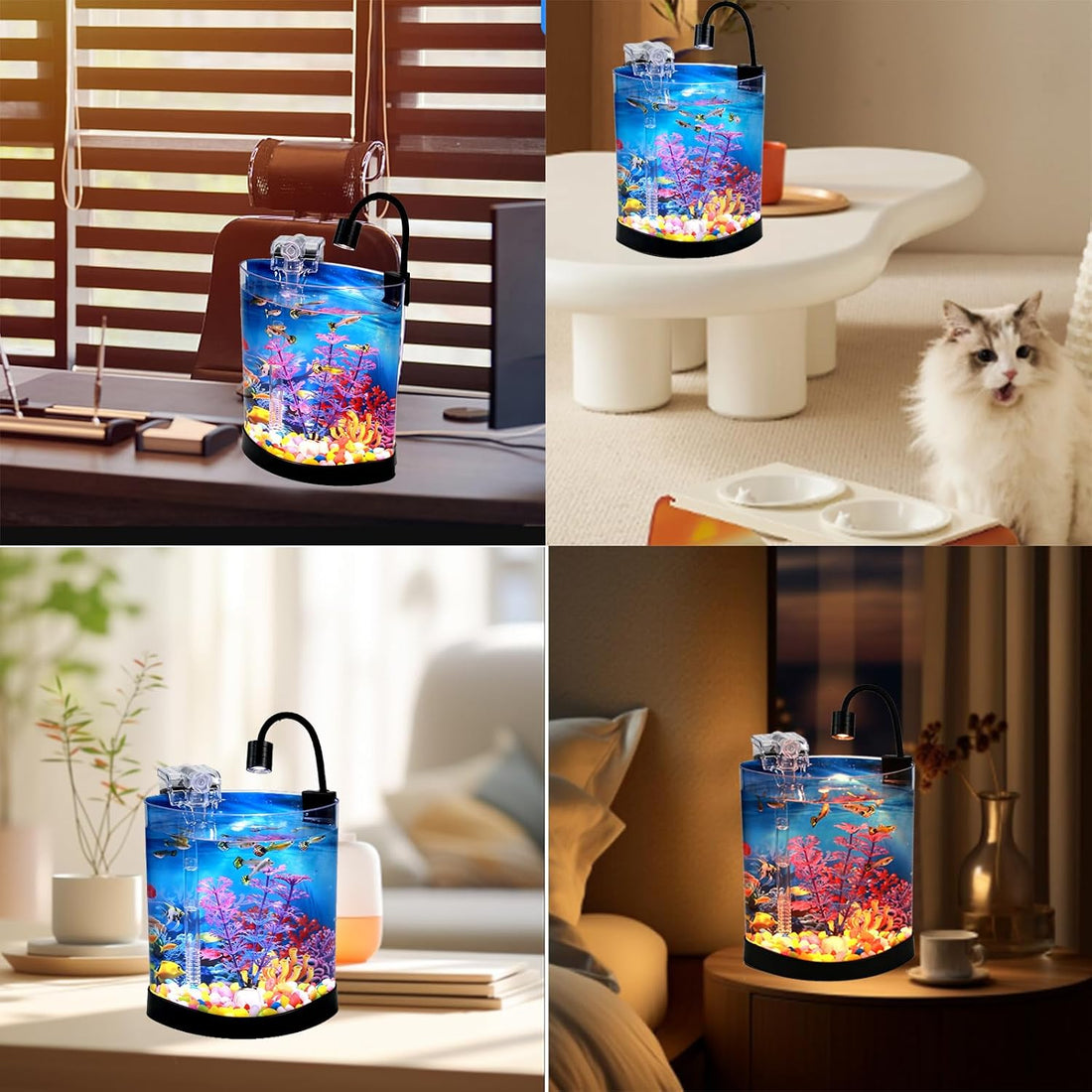 1 Gallon Fish Tank, Half Moon Shape, Mini Aquarium Starter Kit