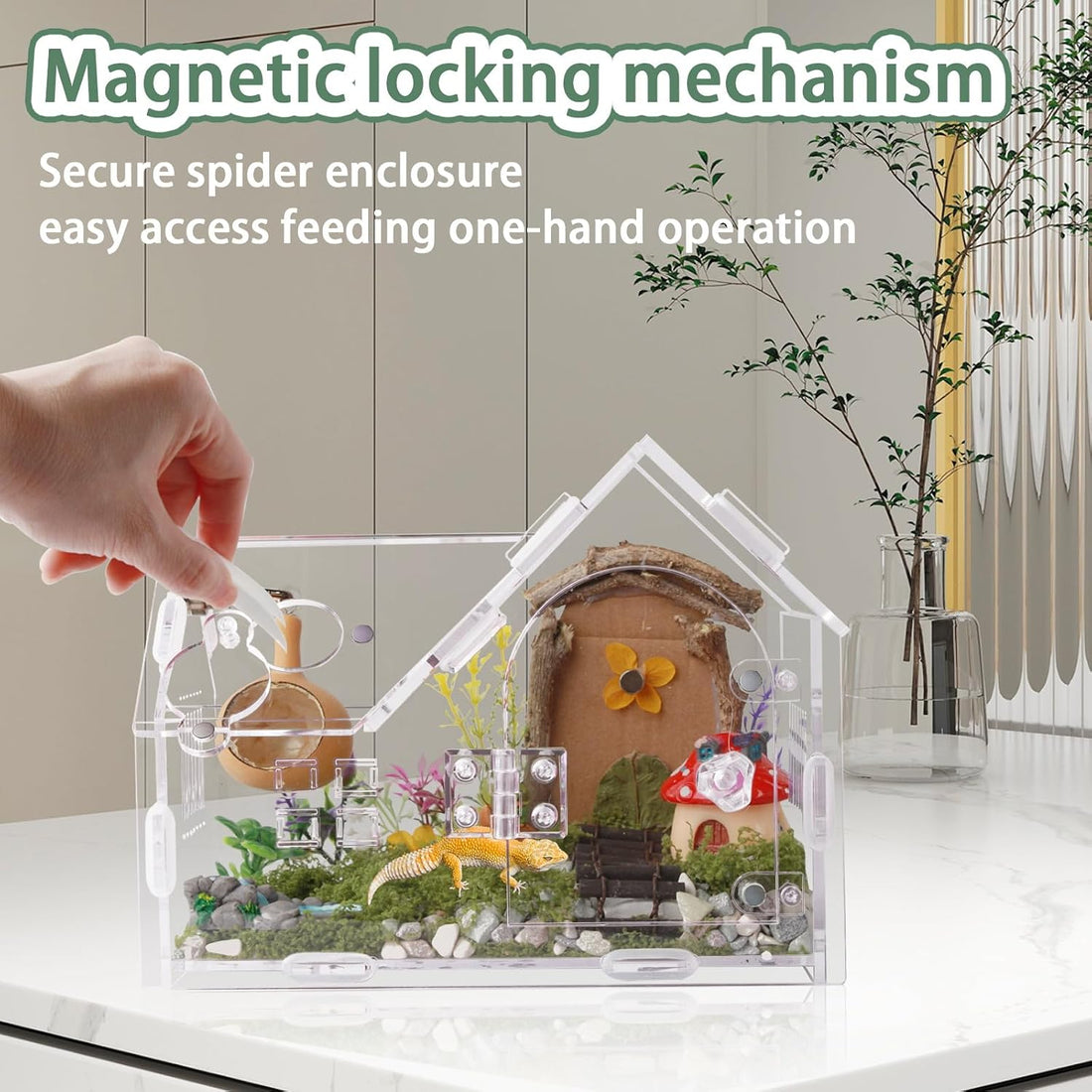 Acrylic Jumping Spider Enclosure House-Shaped Terrarium