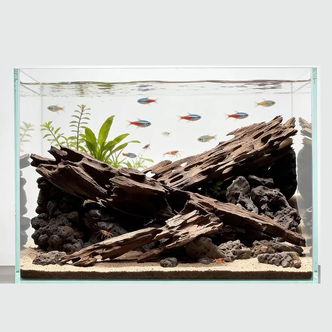 Aquarium Driftwood Shrimp Wood Natural Trunk & Assorted Branches