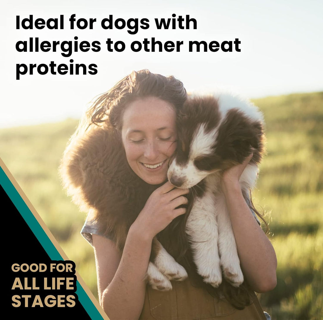 VICTOR Select Dry Dog Food - Ocean Fish Formula with Salmon Kibble